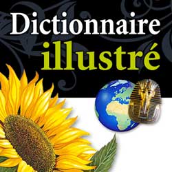 Hachette-Dictionnaire-Ebooks-IDBOOX