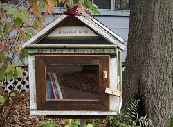 Little free library IDBOOX