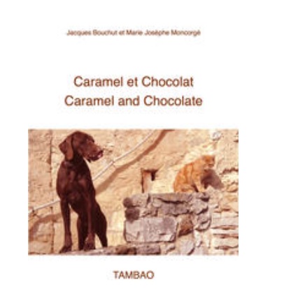 caramel et chocolat ebook interactif enfant