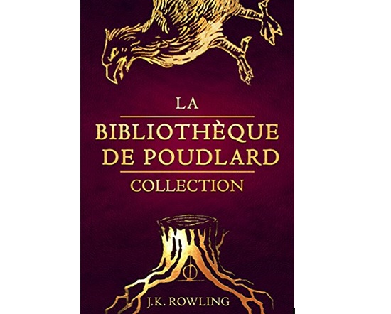 La Bibliothèque de Poudlard Collection harry potter