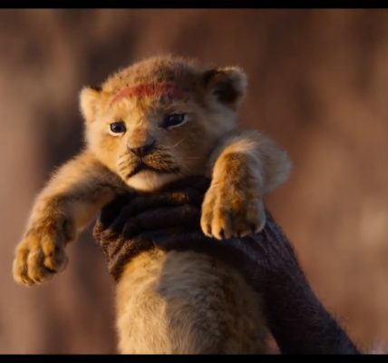 Le roi lion nouvelle vidéo Disney