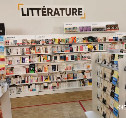 marché du livre france 2022 papier et ebooks