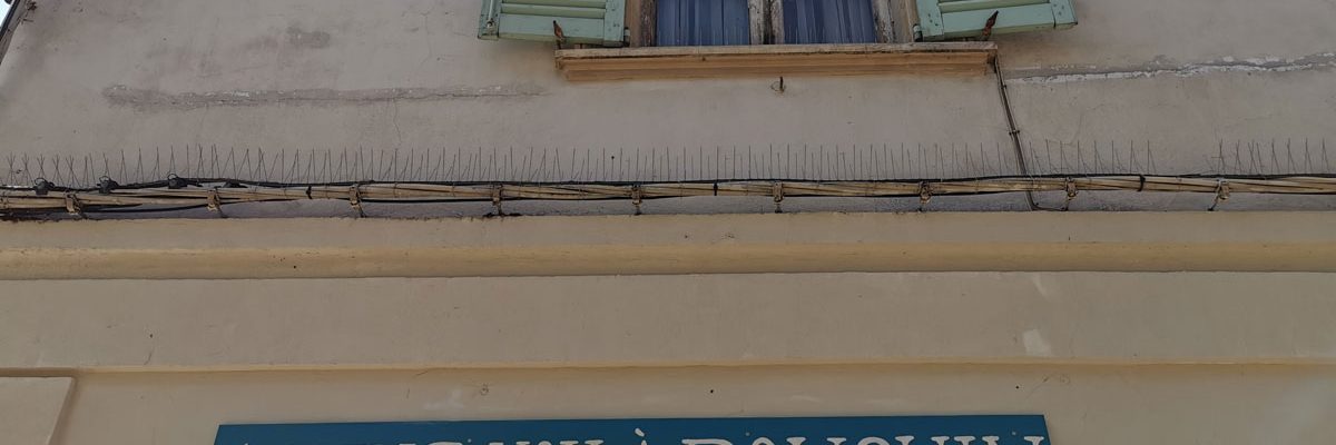 lecture cause nationale