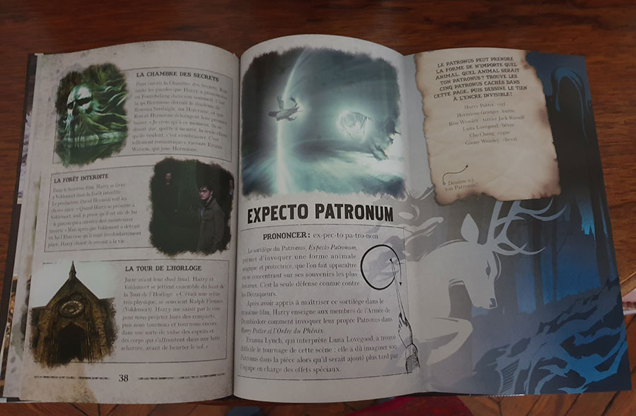 Harry Potter : la bataille de Poudlard avec sa baguette magique, le livre  ultime pour les moldus - IDBOOX