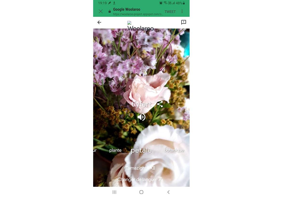 Woolaroo-appli-langues-en-voie-ce-disparition