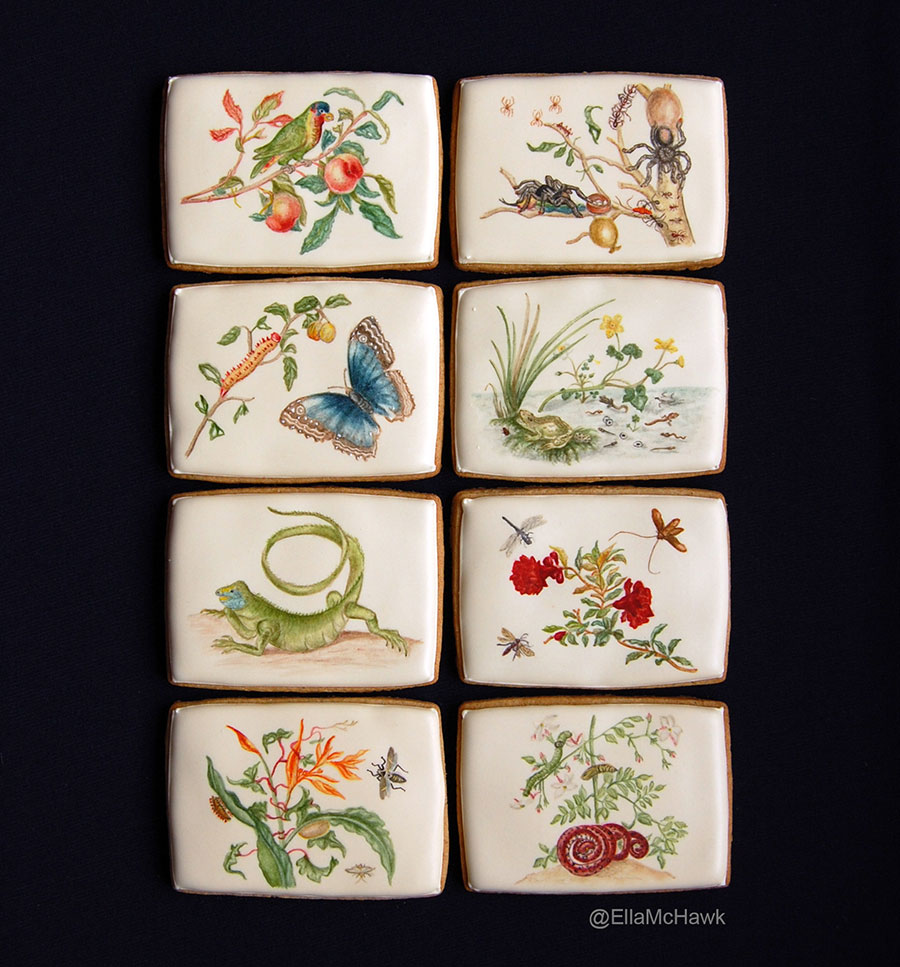 2maria-sibylla-merian-biscuits-ella-hawkins-copy