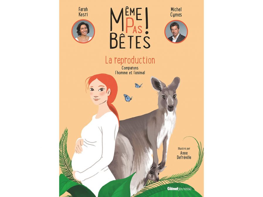 meme-pas-betes-michel-cymes-livre