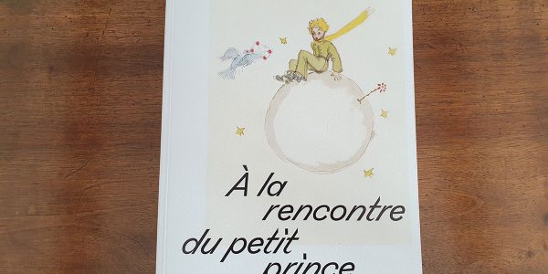 A-la-rencontre-du-petit-prince-catalogue-expo