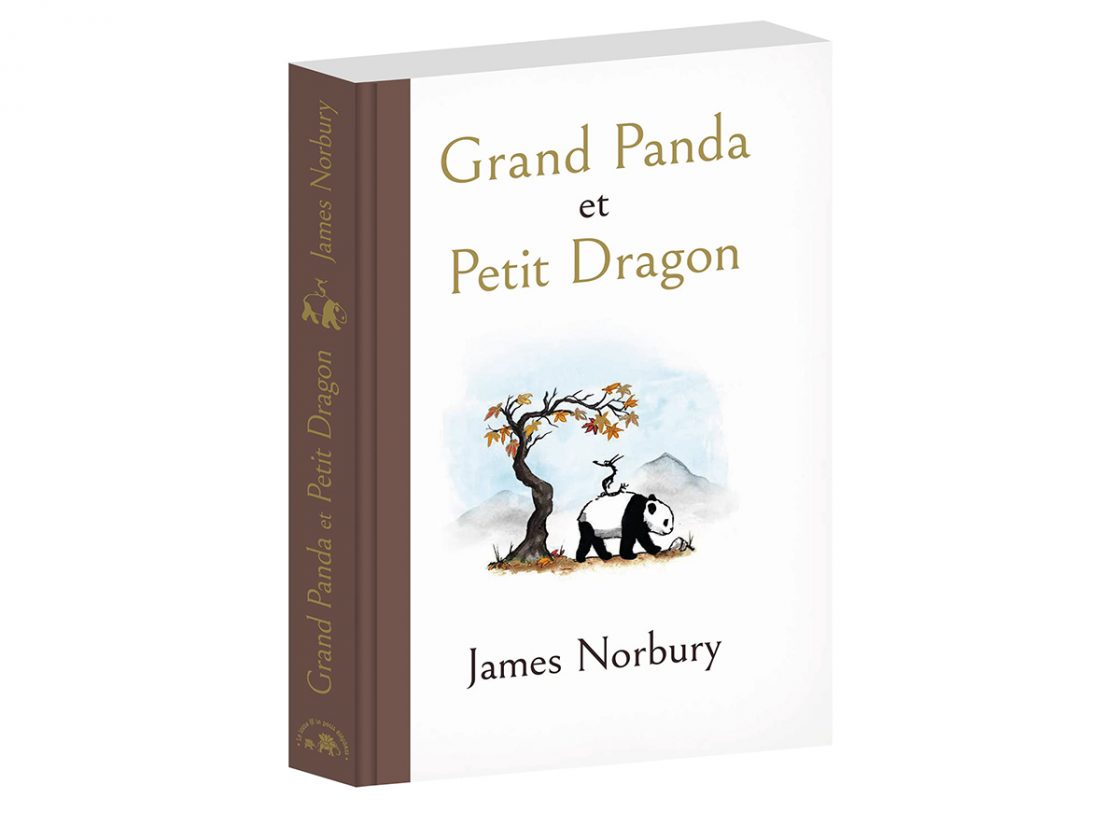 grand panda et petit dragon livre