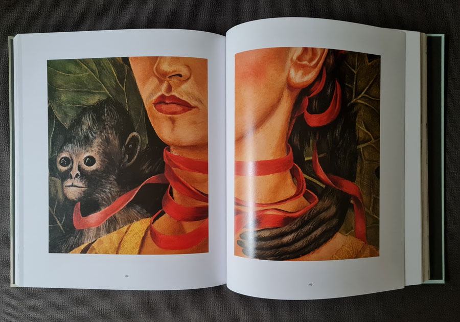 Frida Kahlo livre