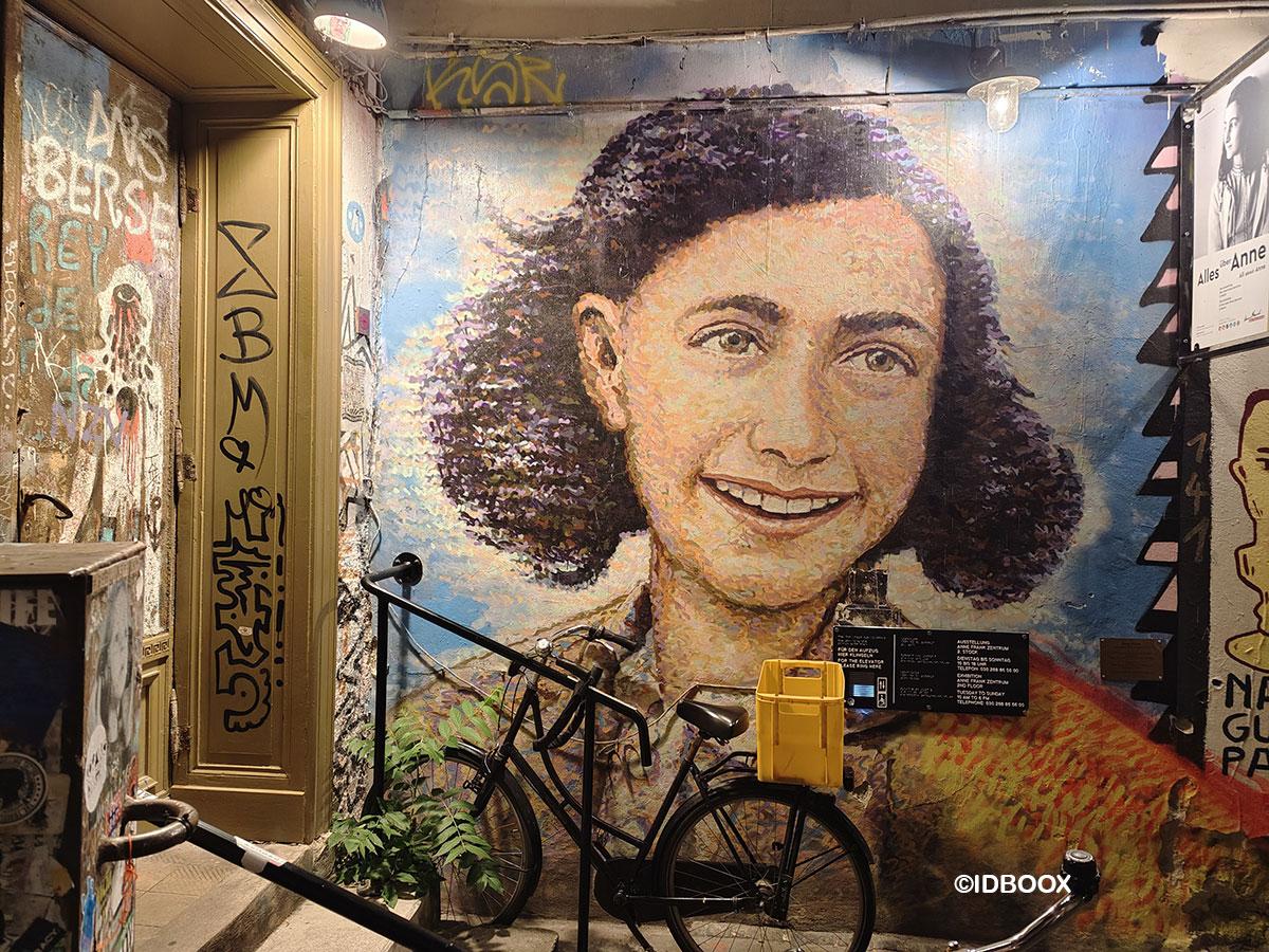 vivo X80 pro anne frank