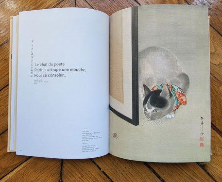 Un chat au Japon - Un livre pour découvrir les haïkus de Kobayashi Issa