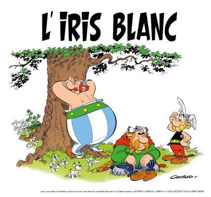 asterix-iris-blanc