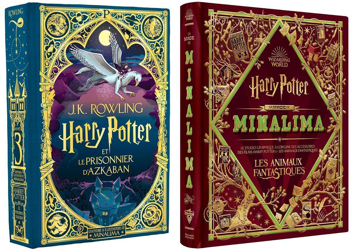 Deux beaux livres Harry Potter collector, des cadeaux parfaits pour Noël
