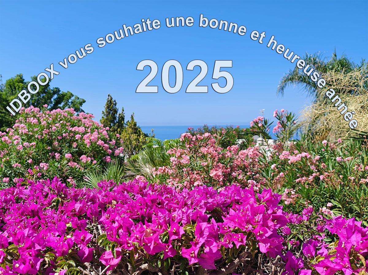 IDBOOX vous souhaite une bonne et heureuse année 2025