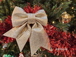 Noel 2025 sélection de beaux livres à offrir