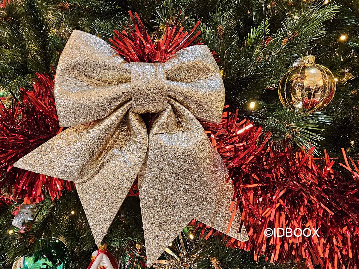 Noel 2025 sélection de beaux livres à offrir