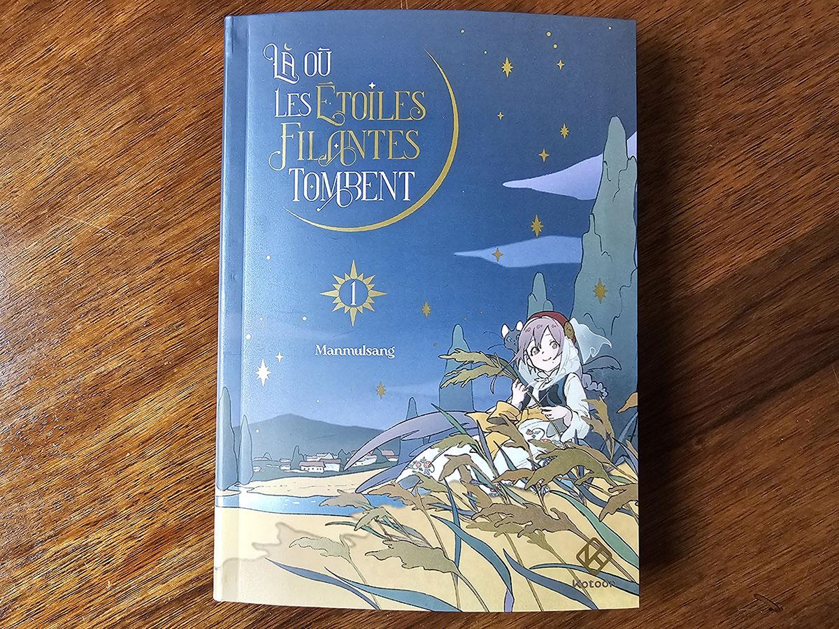 Conseil de lecture Webtoon - Là où les étoiles filantes tombent