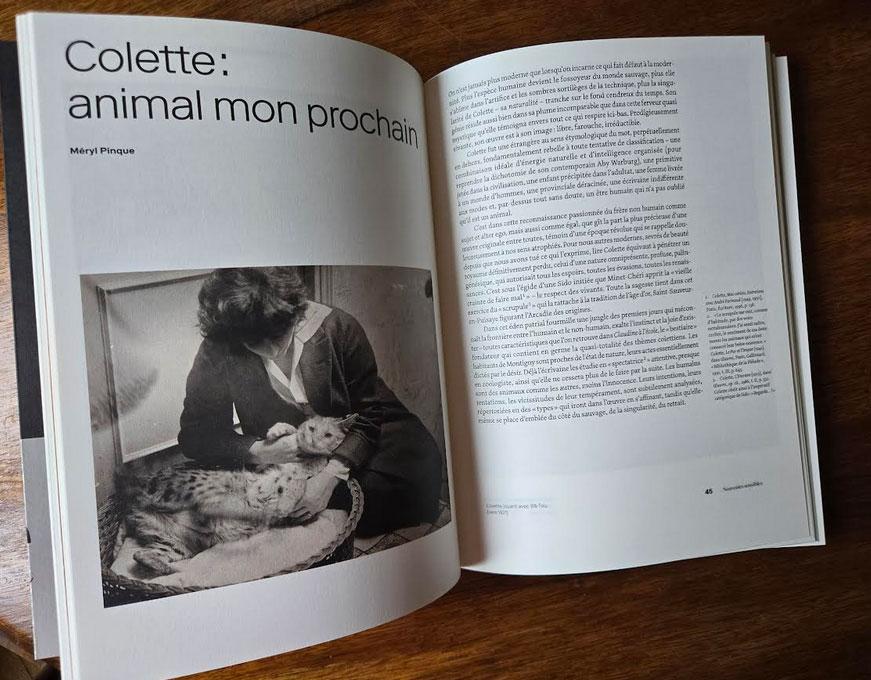 Les mondes de Colette avis catalogue exposition