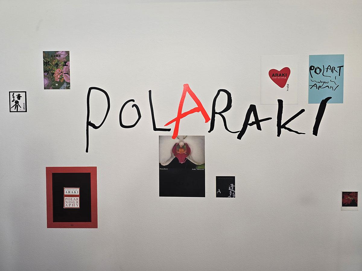 Découverte en images de l'expo PolAraki au musée Guimet