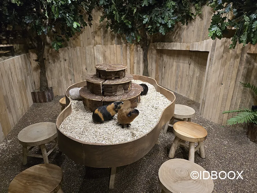 Le Monde de Noé avis