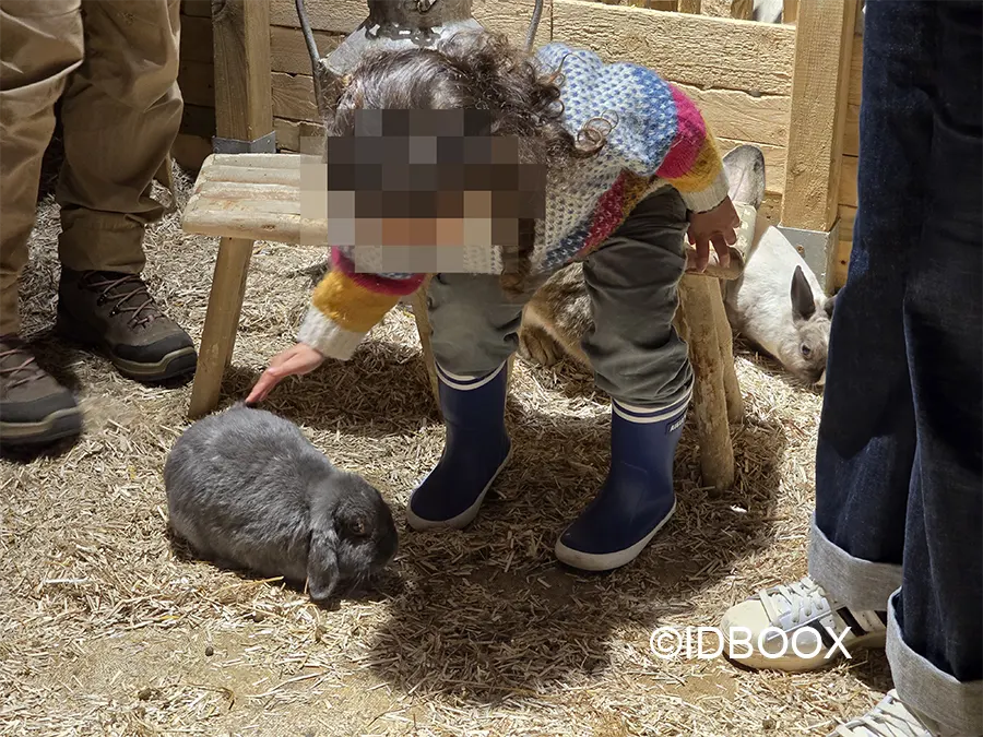 Le Monde de Noé avis