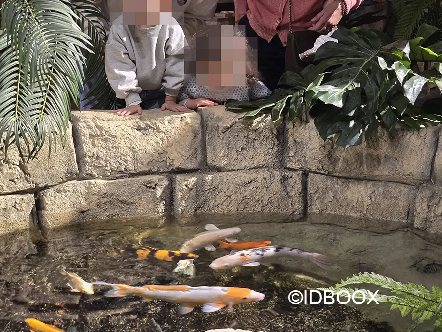 Le Monde de Noé avis