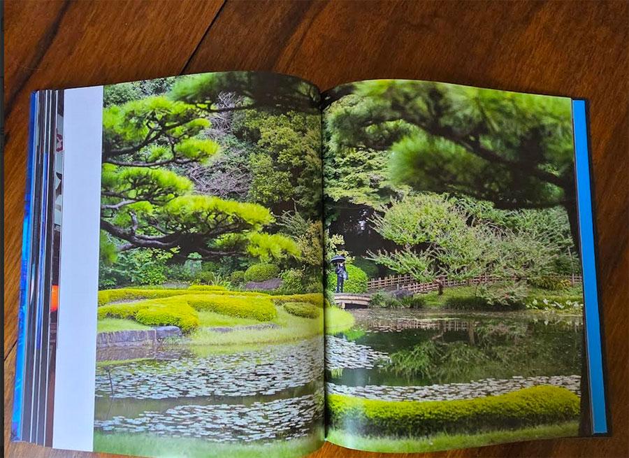 Tokyo à couper le souffle avis Livre