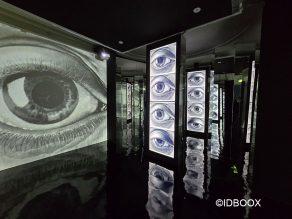 Expo Escher – Les mathématiques et la géométrie n’ont jamais été aussi amusants