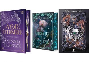 Conseil de lecture – 3 romans de fantasy et Romantasy à lire au chaud sous la couette