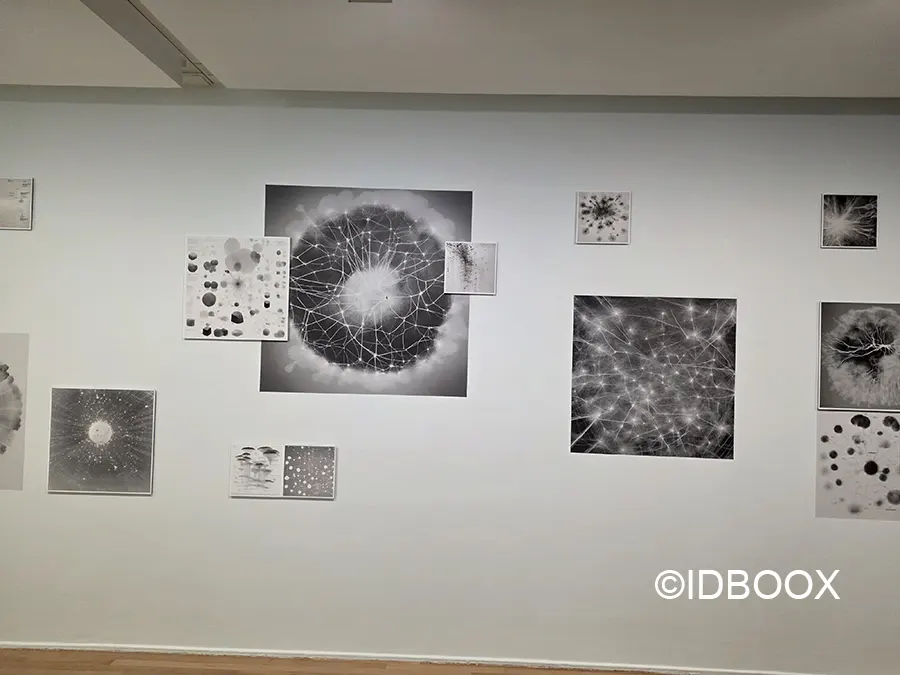 Moi et les autres Fondation EDF exposition