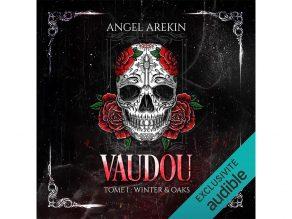 Avis livre audio Vaudou