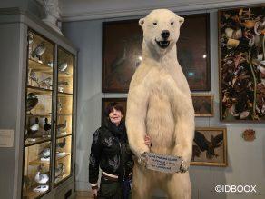 Visite de l’exposition Annette Messager : Une hirondelle ne fait pas le printemps