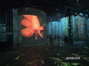 Exposition immersive Planète Océan à l’Atelier des Lumières, on plonge ou pas ?