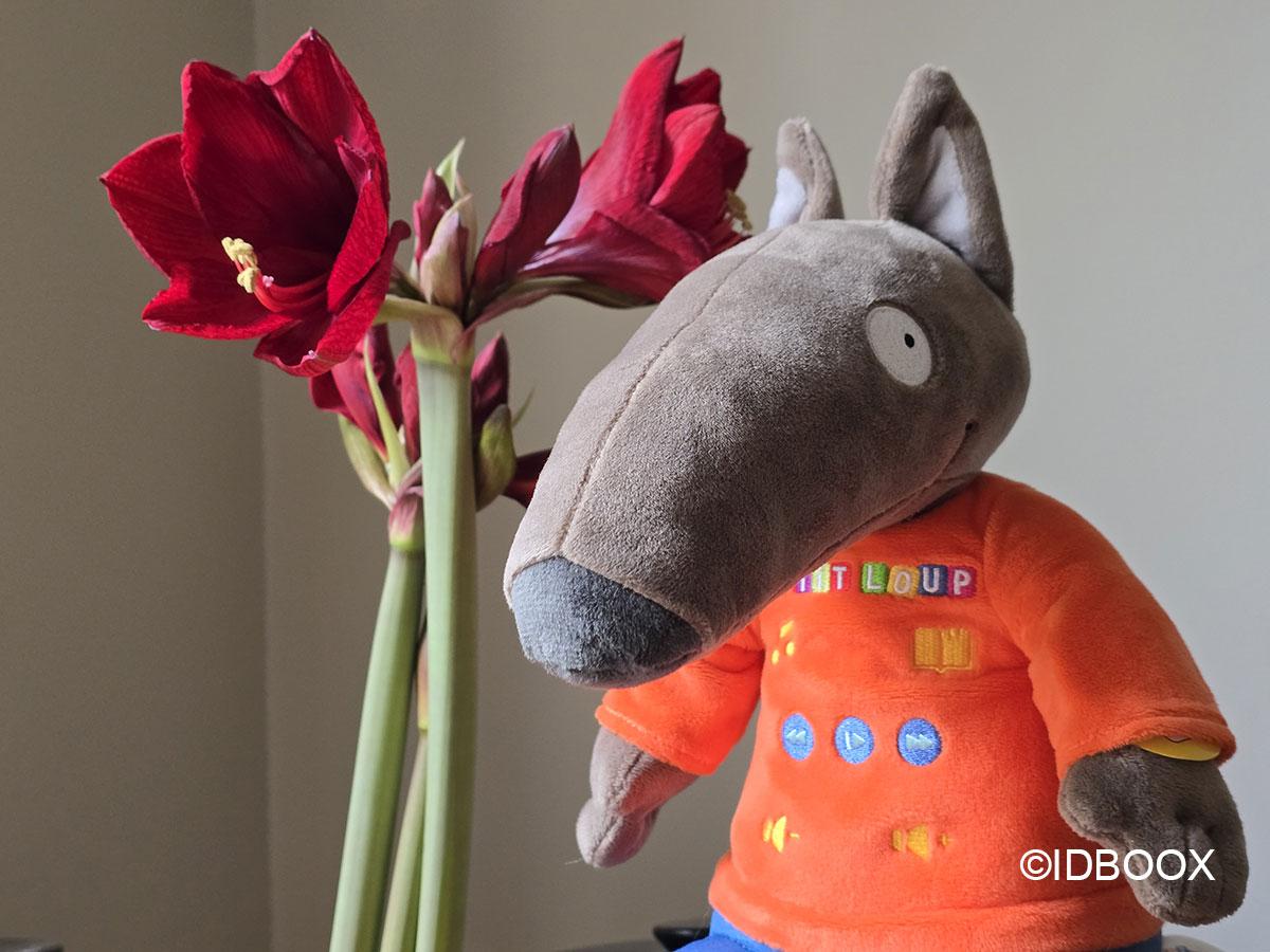 Test de la conteuse pour enfants  P'tit Loup, une adorable peluche parfaite en cadeau de Noël